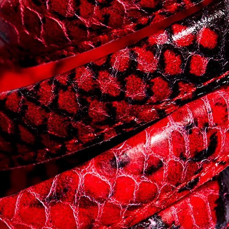 Red and black printed python leather shoe material swatch